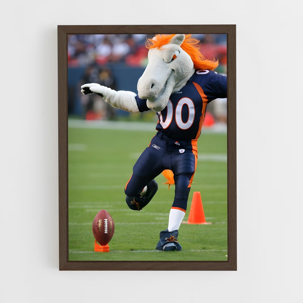 Poster Bronco Spirit (vue 5)